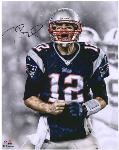 New England Patriots Tom Brady autographed 16x20 - Fanatics
